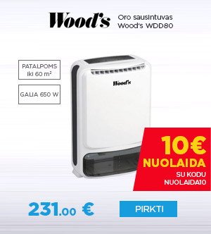 Oro sausintuvas Wood‘s WDD80